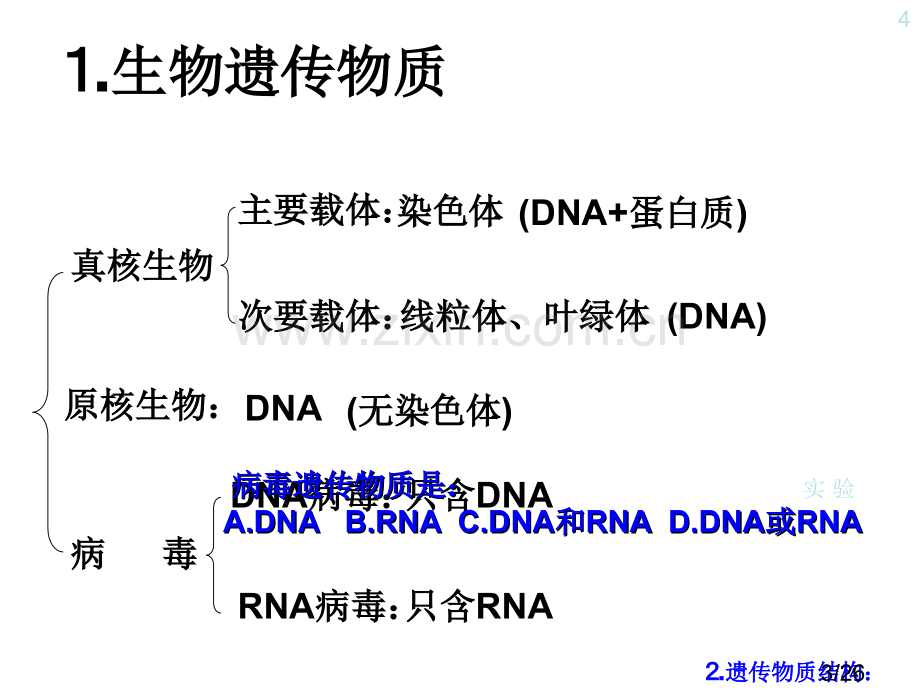 生物遗传物质复习市公开课获奖课件省名师优质课赛课一等奖课件.ppt_第3页