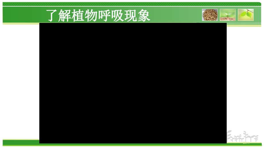 七年级生物上册3.5.2绿色植物的呼吸作用公开课教学市公开课一等奖省优质课赛课一等奖课件.pptx_第2页