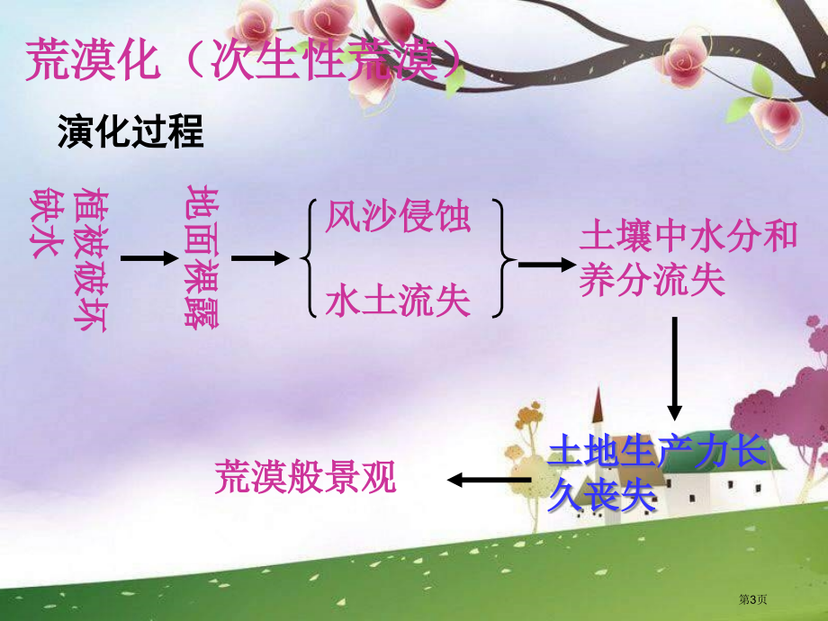 必修3荒漠化的防治──以我国西北地区为例市公开课一等奖省优质课赛课一等奖课件.pptx_第3页