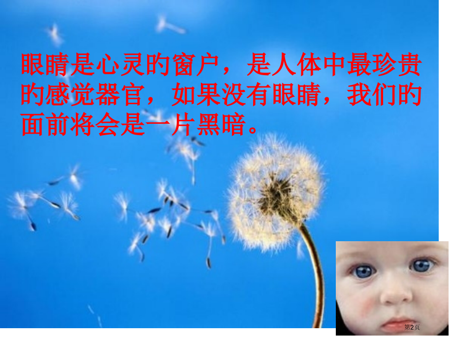 我有一双明亮的眼睛主题班会省名师优质课赛课获奖课件市赛课百校联赛优质课一等奖课件.pptx_第2页