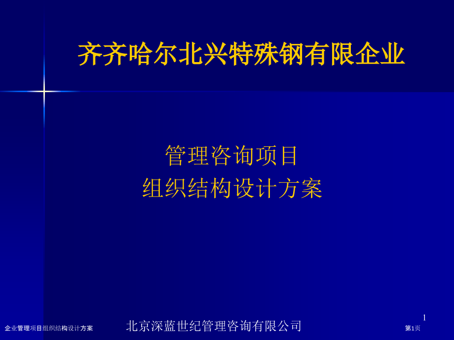 企业管理项目组织结构设计方案.pptx_第1页