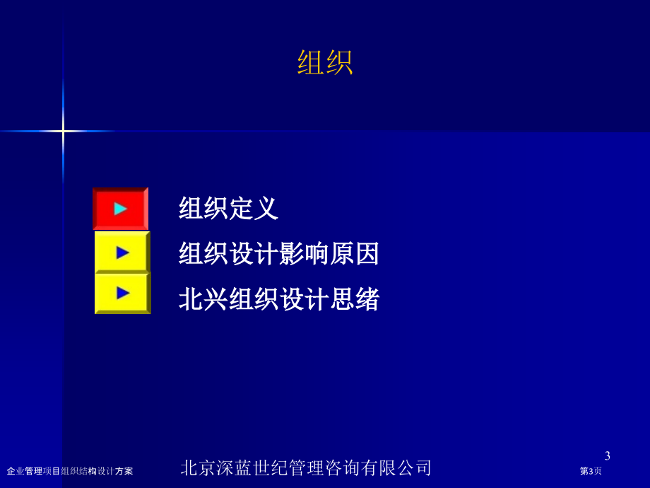 企业管理项目组织结构设计方案.pptx_第3页