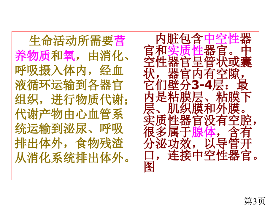 12级运动解剖学4省名师优质课赛课获奖课件市赛课一等奖课件.ppt_第3页