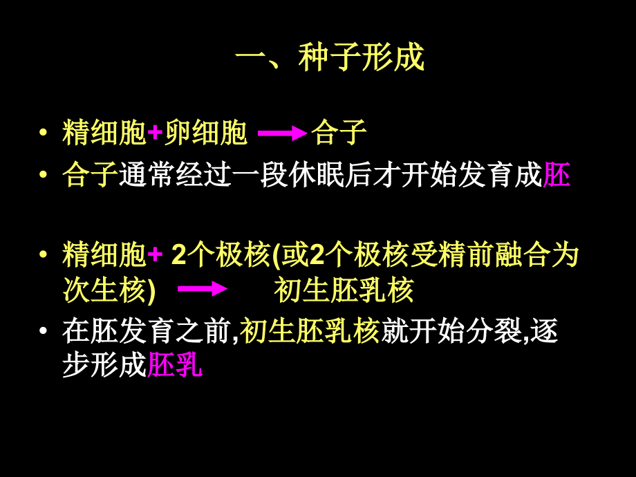 种子里有什么-教案省名师优质课赛课获奖课件市赛课百校联赛优质课一等奖课件.ppt_第2页