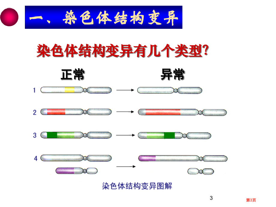 高中生物必修2第5章第2节染色体变异公开课市公开课一等奖省优质课赛课一等奖课件.pptx_第3页