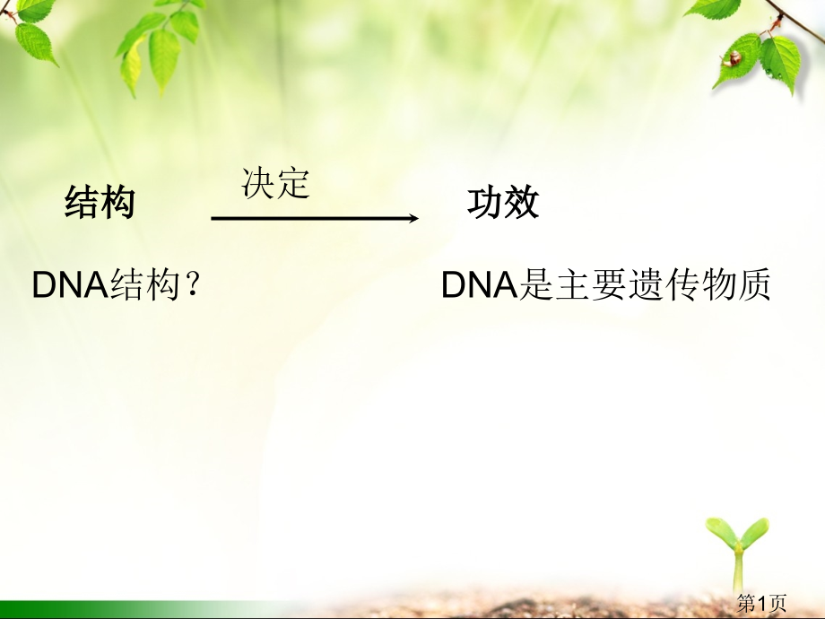 DNA分子的结构公开课详解名师优质课获奖市赛课一等奖课件.ppt_第1页