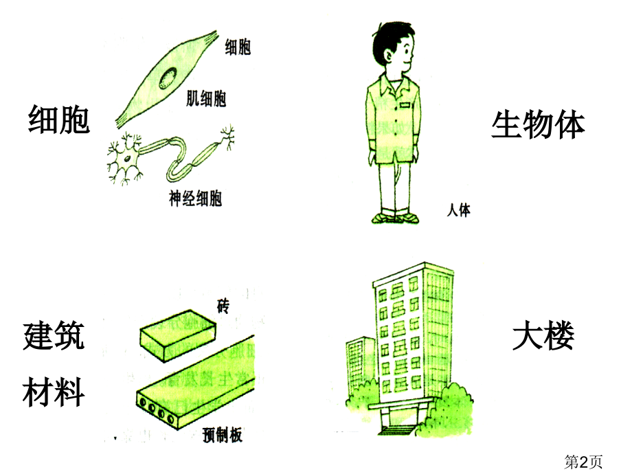 生物体的结构层次专题省名师优质课赛课获奖课件市赛课一等奖课件.ppt_第2页