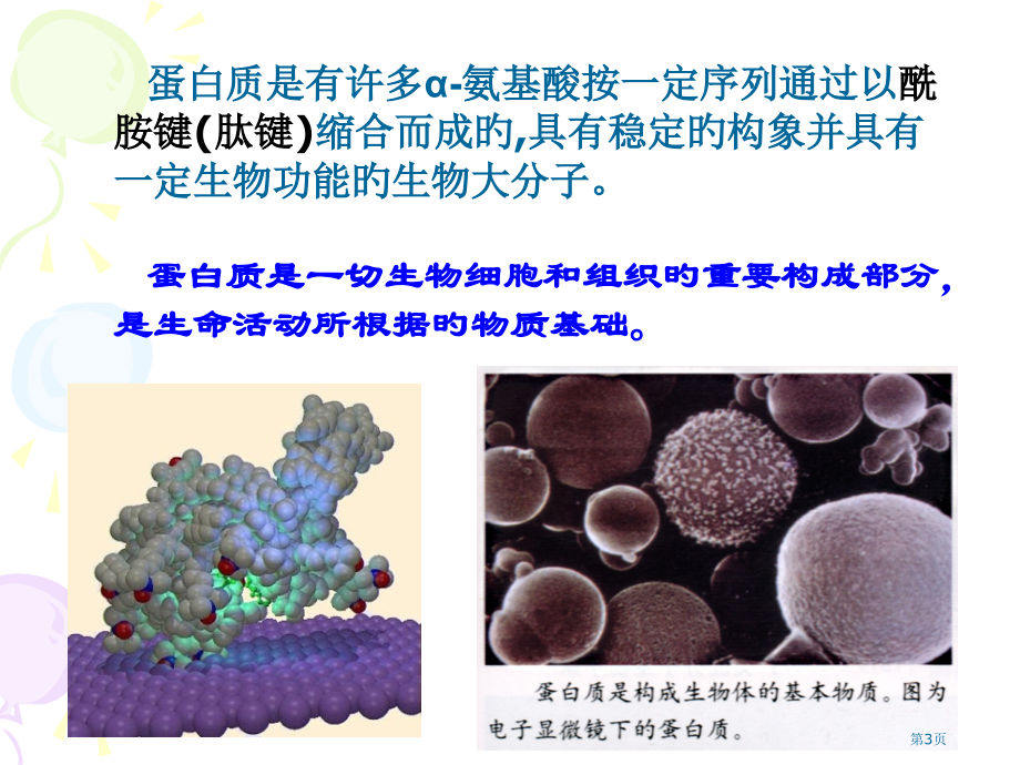 生物化学蛋白质省名师优质课赛课获奖课件市赛课百校联赛优质课一等奖课件.pptx_第3页