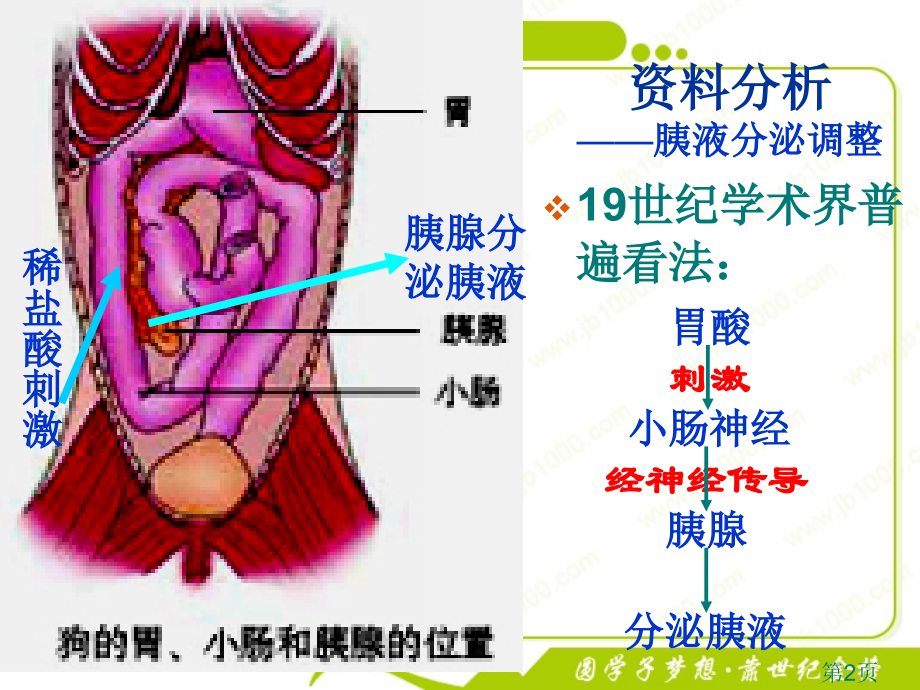 生物2.2《通过激素的调节》(新人教版必修3)省名师优质课赛课获奖课件市赛课一等奖课件.ppt_第2页