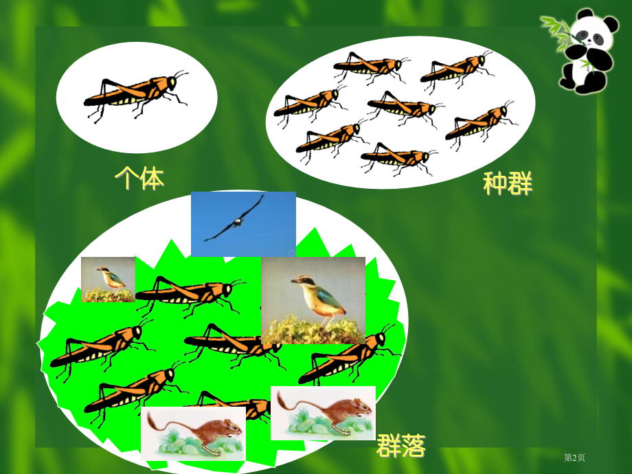 高中生物必修三第五章第1节生态系统的结构示范课市公开课一等奖省优质课赛课一等奖课件.pptx_第2页