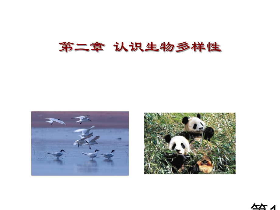 认识生物的多样性省名师优质课赛课获奖课件市赛课一等奖课件.ppt_第1页