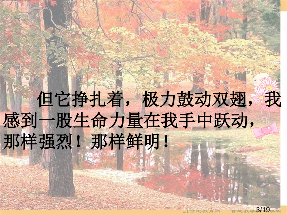 鲁教版四年级上册生命生命课件4市公开课获奖课件省名师优质课赛课一等奖课件.ppt_第3页