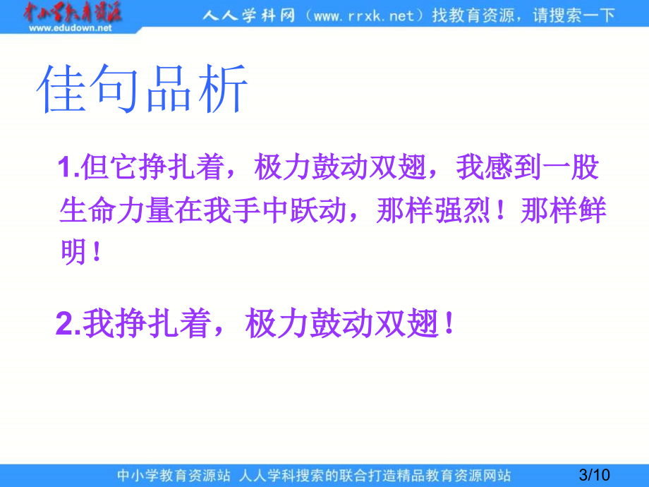 鲁教版四年级上册生命-生命省名师优质课赛课获奖课件市赛课一等奖课件.ppt_第3页