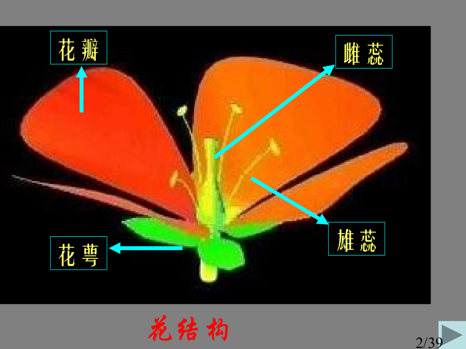 高二生物高等动植物的个体发育省名师优质课赛课获奖课件市赛课一等奖课件.ppt_第2页