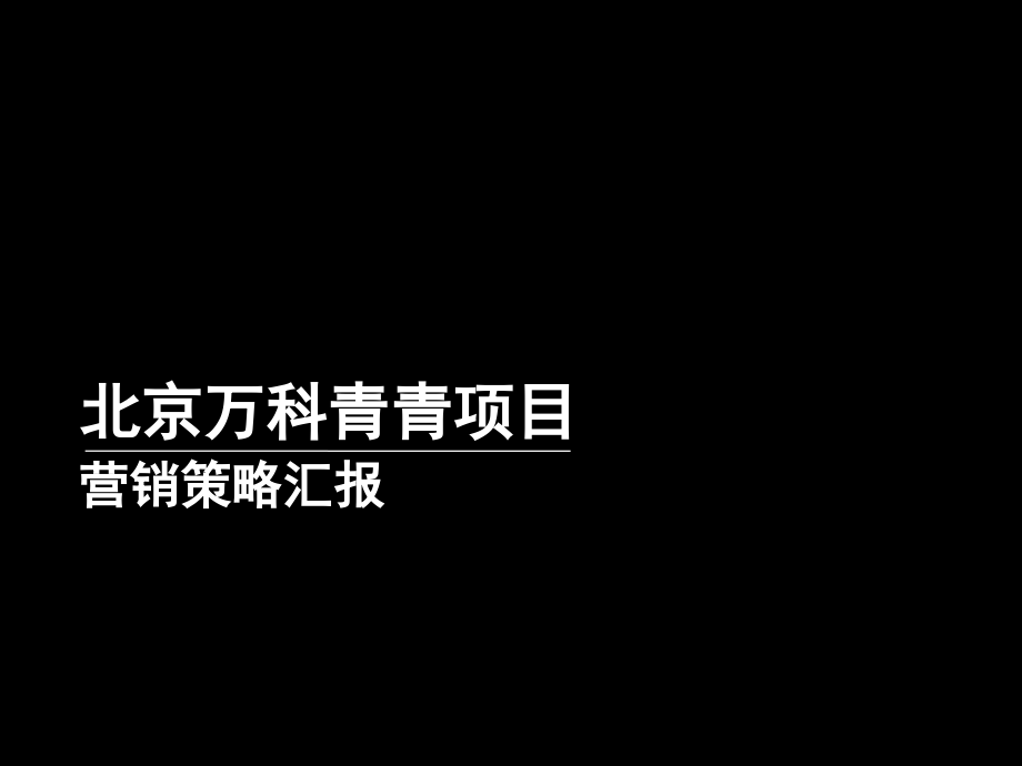 项目营销策略研究报告分析.pptx_第1页