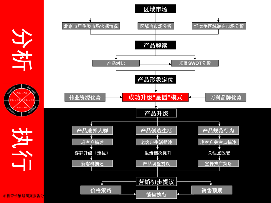 项目营销策略研究报告分析.pptx_第2页