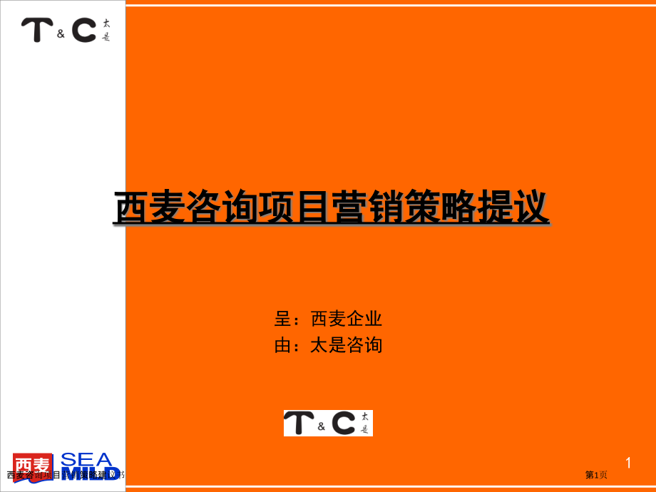 西麦咨询项目营销策略建议书.pptx_第1页