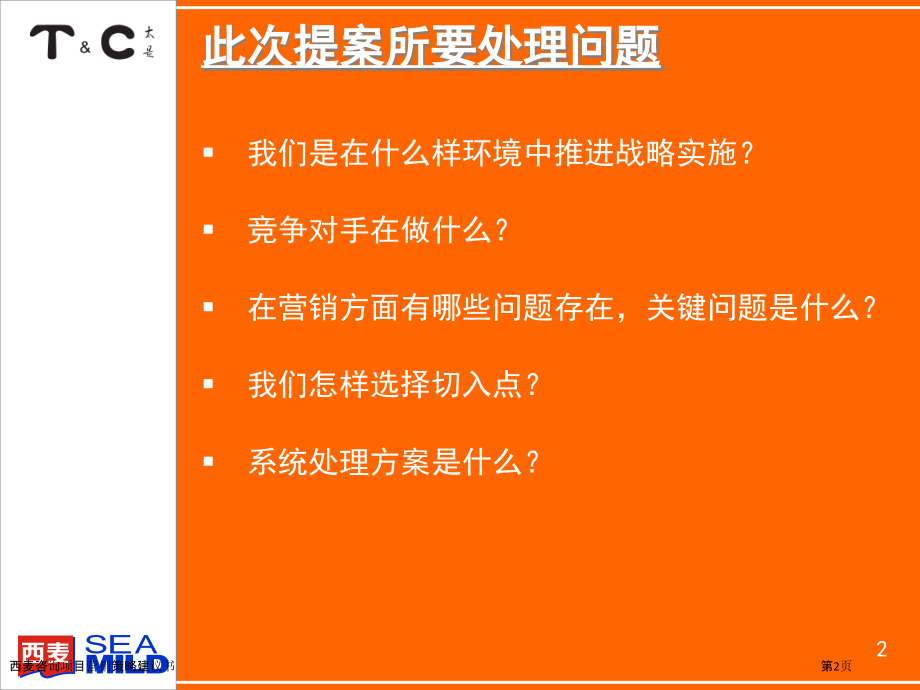 西麦咨询项目营销策略建议书.pptx_第2页