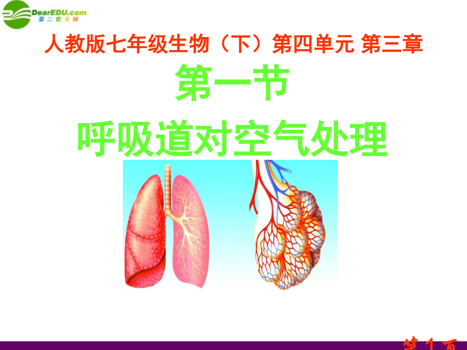 呼吸道对空气的处置汇总人教新课标省名师优质课赛课获奖课件市赛课一等奖课件.ppt_第1页