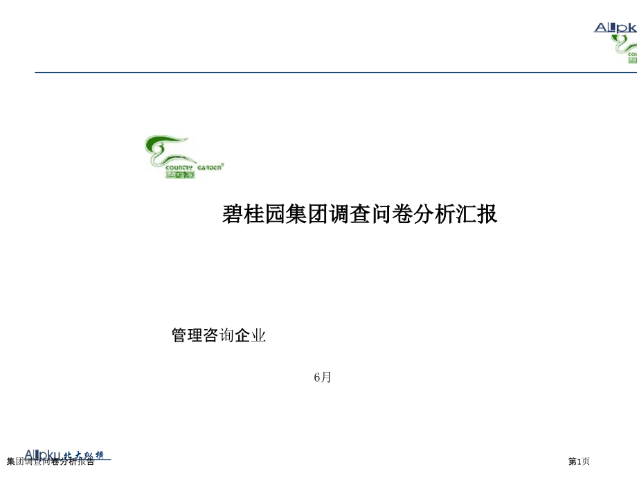 集团调查问卷分析报告.pptx_第1页