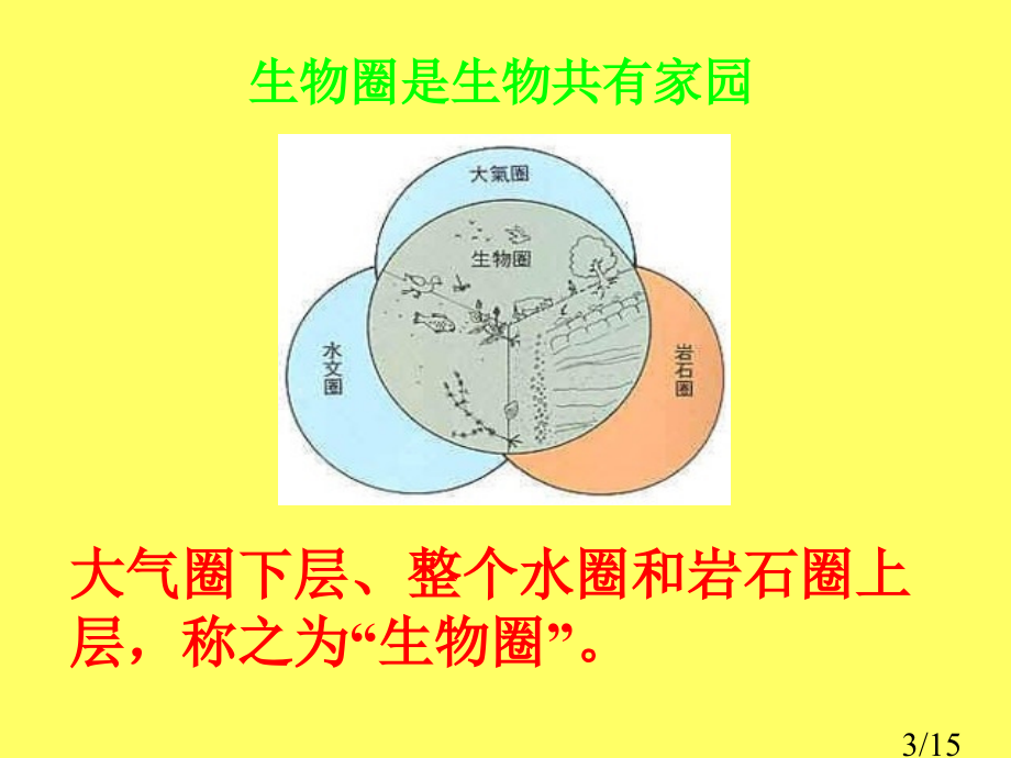 七年级生物生命的世界省名师优质课赛课获奖课件市赛课一等奖课件.ppt_第3页