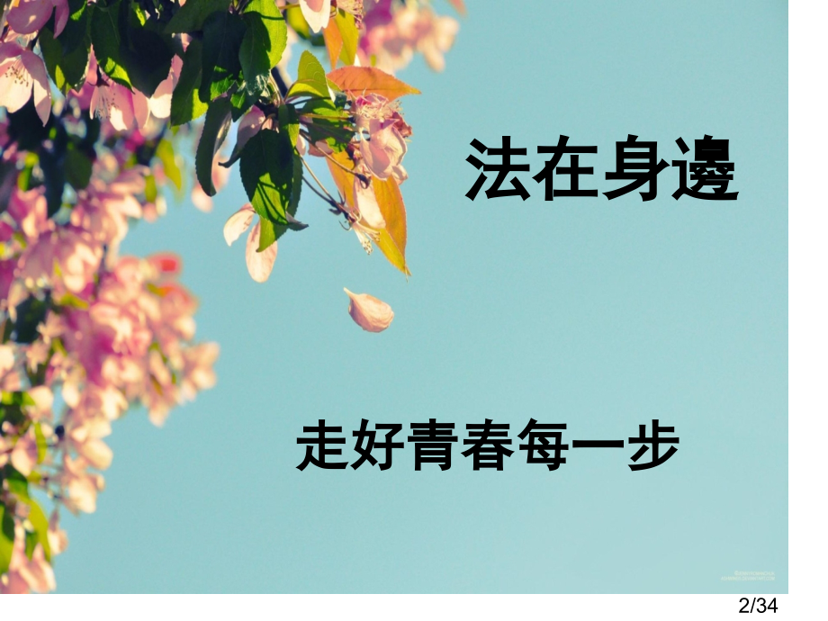 法制安全班会市公开课一等奖百校联赛优质课金奖名师赛课获奖课件.ppt_第2页