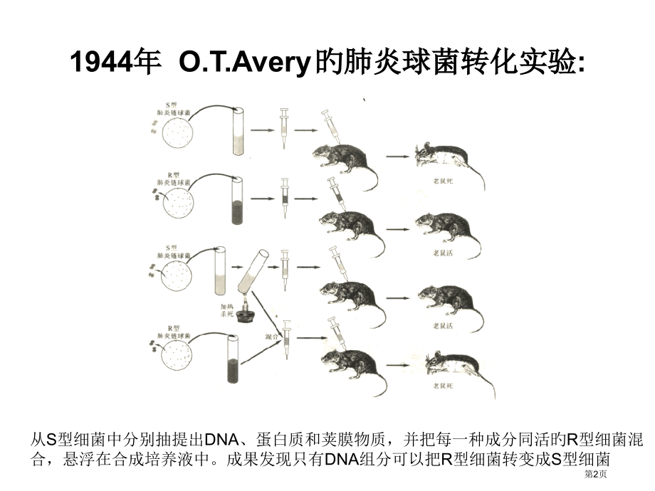 重组dna技术分子生物学省名师优质课赛课获奖课件市赛课百校联赛优质课一等奖课件.pptx_第2页