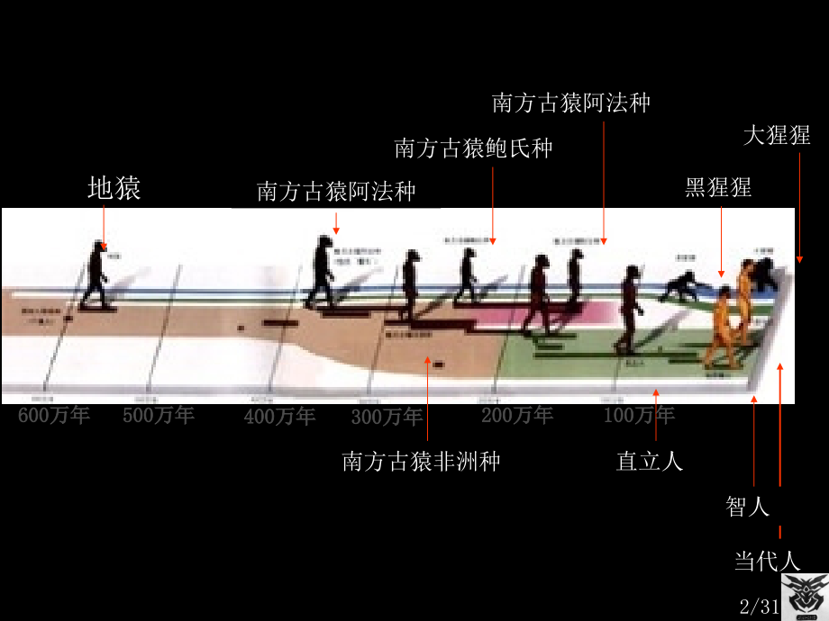 进化生物学-现代人种的进化市公开课一等奖百校联赛优质课金奖名师赛课获奖课件.ppt_第2页