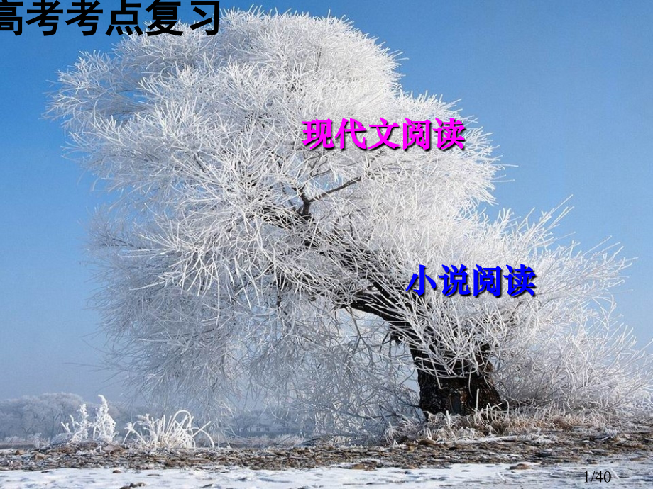 现代文阅读——小说(上课课件)省名师优质课赛课获奖课件市赛课百校联赛优质课一等奖课件.ppt_第1页