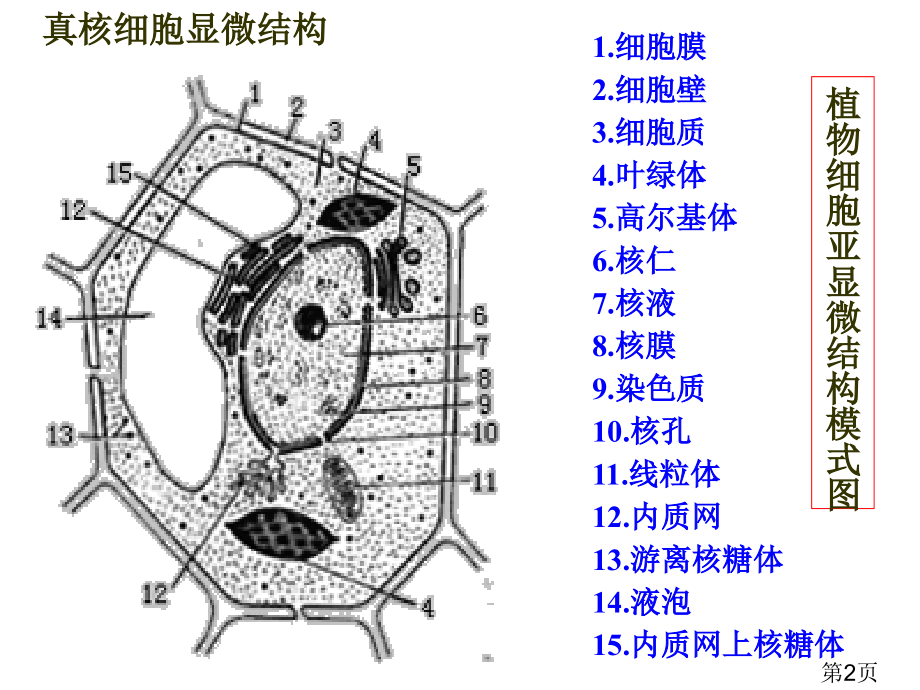 高中生物——细胞结构功能图省名师优质课获奖课件市赛课一等奖课件.ppt_第2页