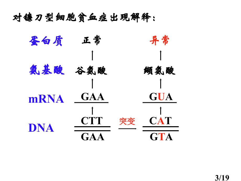 高一生物生物的变异省名师优质课赛课获奖课件市赛课一等奖课件.ppt_第3页