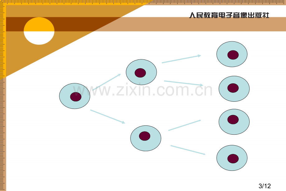 有理数乘方教学设想市公开课一等奖百校联赛优质课金奖名师赛课获奖课件.ppt_第3页