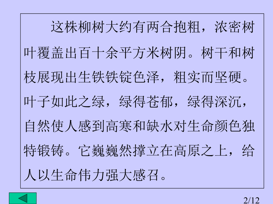 苏教版六年级上青海高原一株柳市公开课获奖课件省名师优质课赛课一等奖课件.ppt_第2页