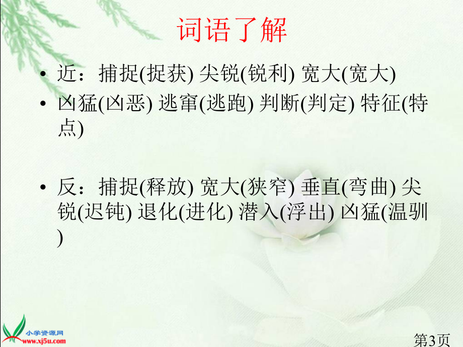 (人教新课标)五年级语文-鲸94047省名师优质课赛课获奖课件市赛课一等奖课件.ppt_第3页