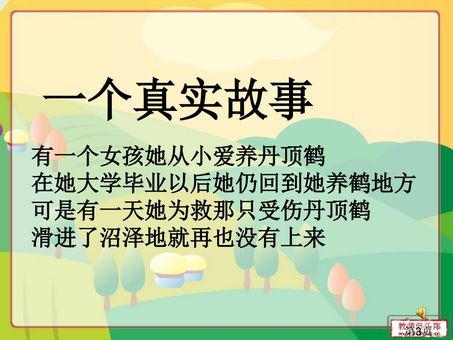 苏教版五年级语文26灰椋鸟-省名师优质课赛课获奖课件市赛课一等奖课件.ppt_第3页