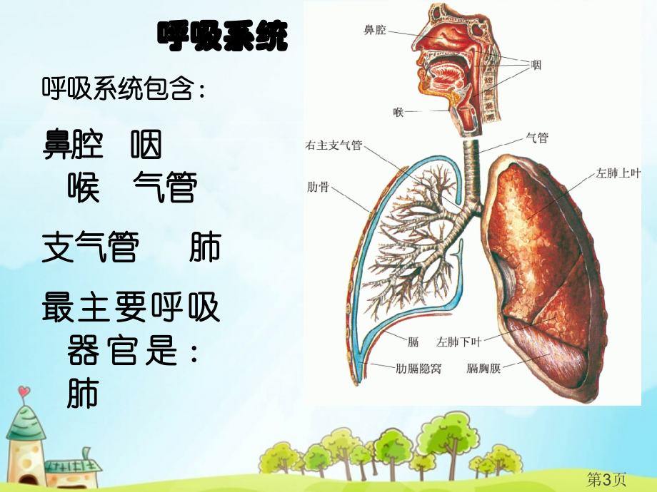 冀教六年级科学下册呼吸和交换省名师优质课赛课获奖课件市赛课一等奖课件.ppt_第3页