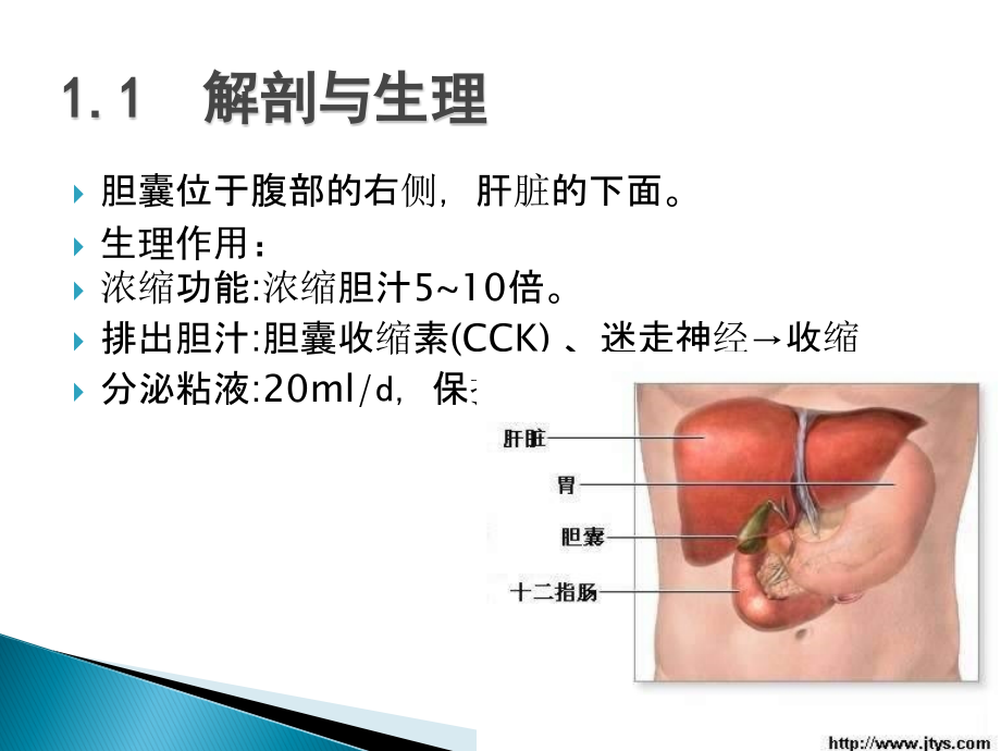 普外胆囊结石患者围手术期的护理李永瑶.ppt_第3页