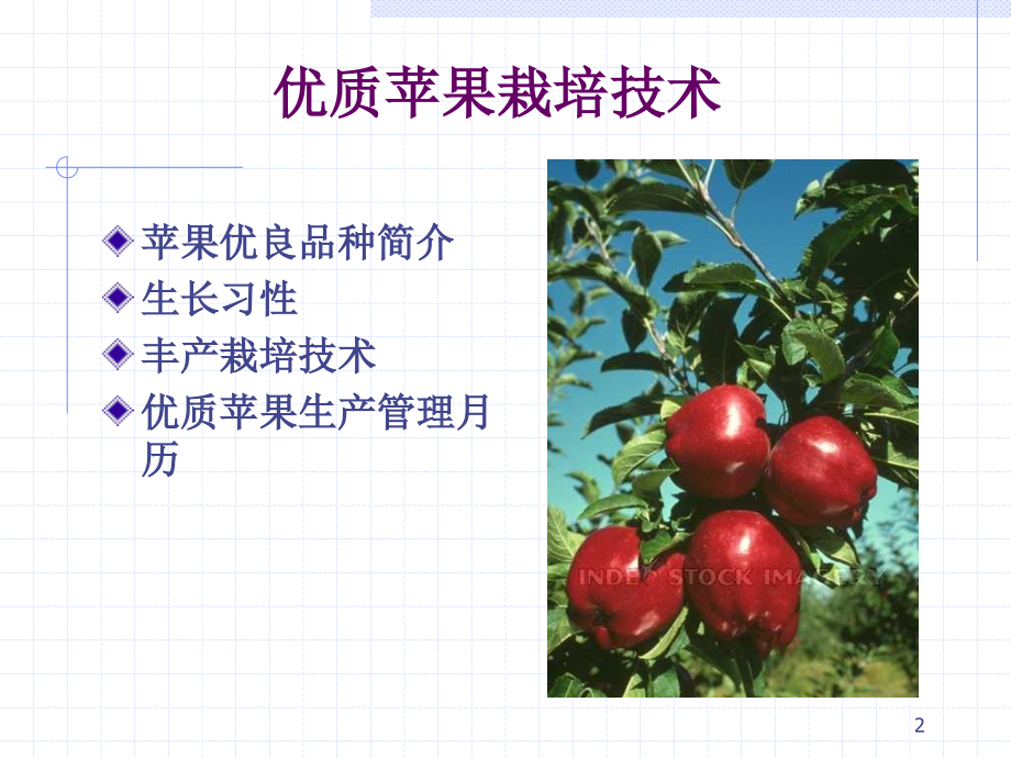 苹果栽培技术.ppt_第2页