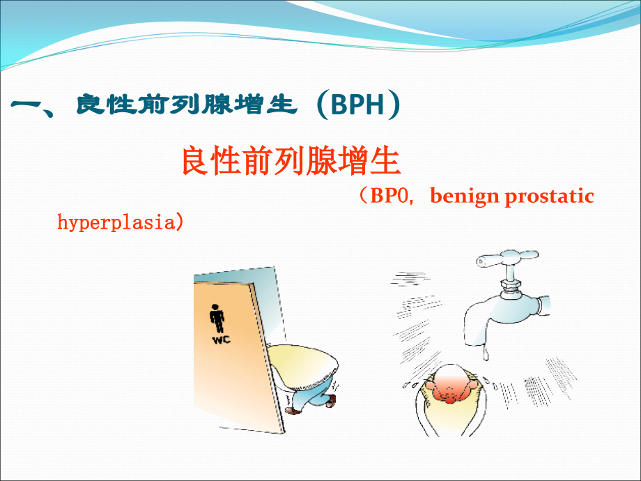 泌尿外科见习.ppt_第3页