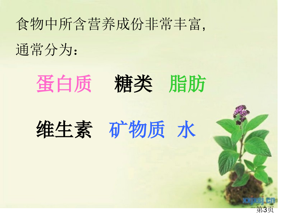 人教版小学科学《食物中的营养》省名师优质课赛课获奖课件市赛课一等奖课件.ppt_第3页