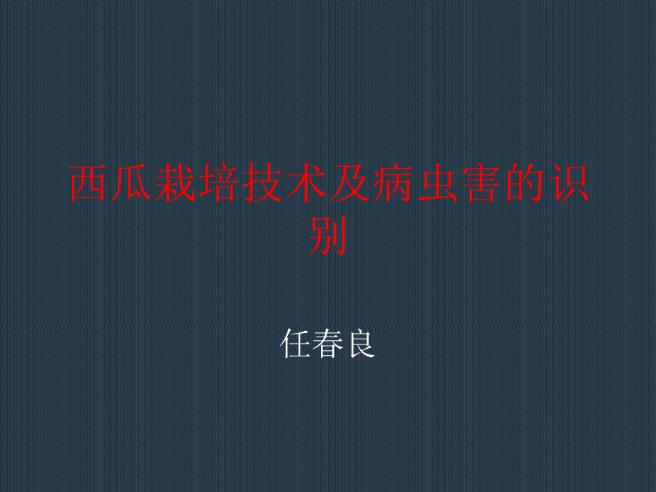 西瓜技术培训课件.ppt_第1页