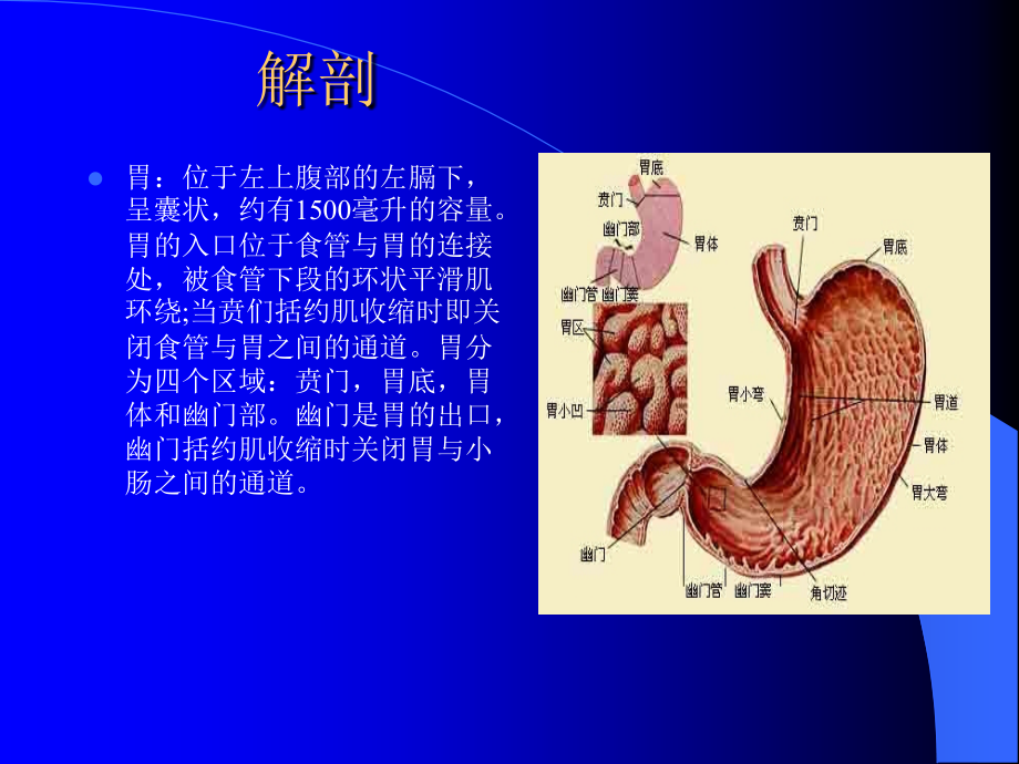 腹腔镜胃癌根治术的手术配合ppt课件.ppt_第3页