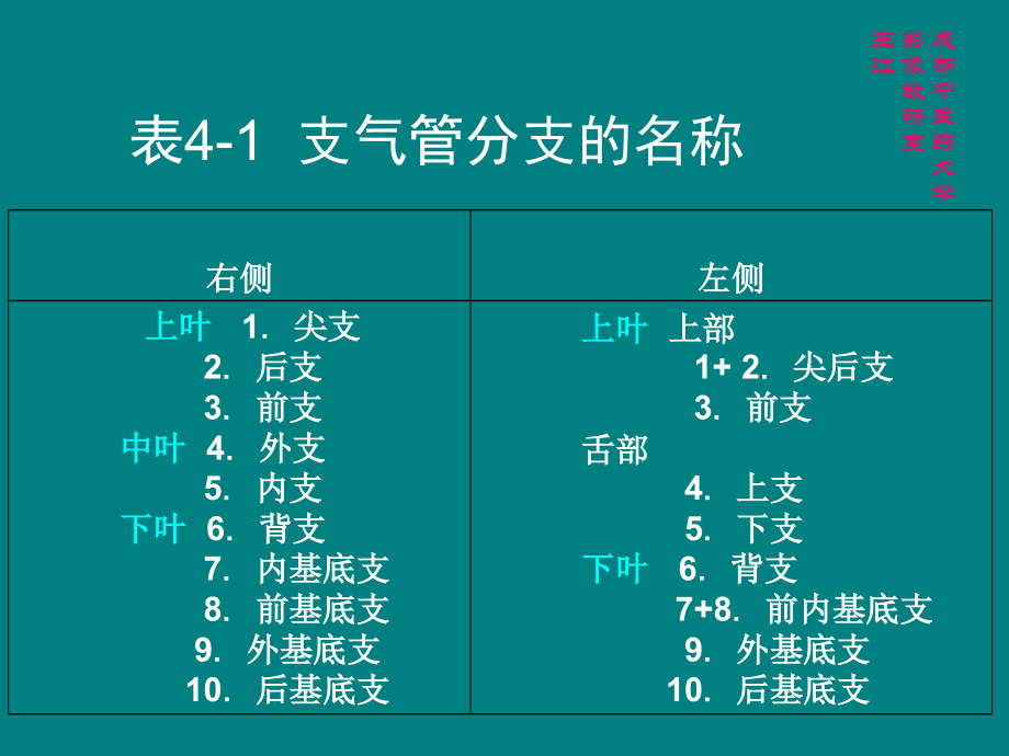 肺部CT解剖结构ppt课件.ppt_第2页