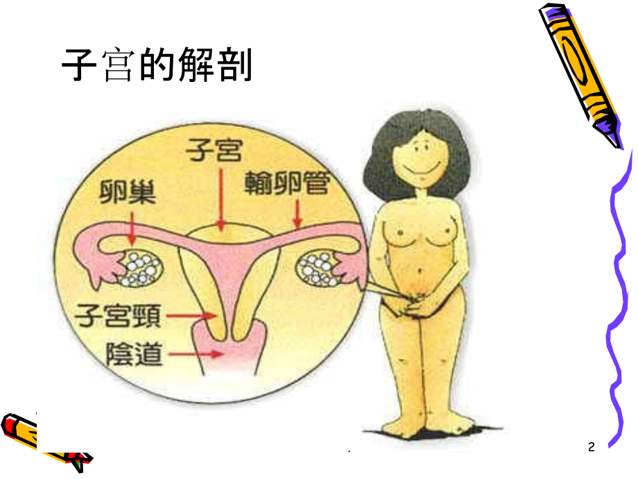 腹腔镜下子宫全切的术中配合及护理课件.ppt_第2页