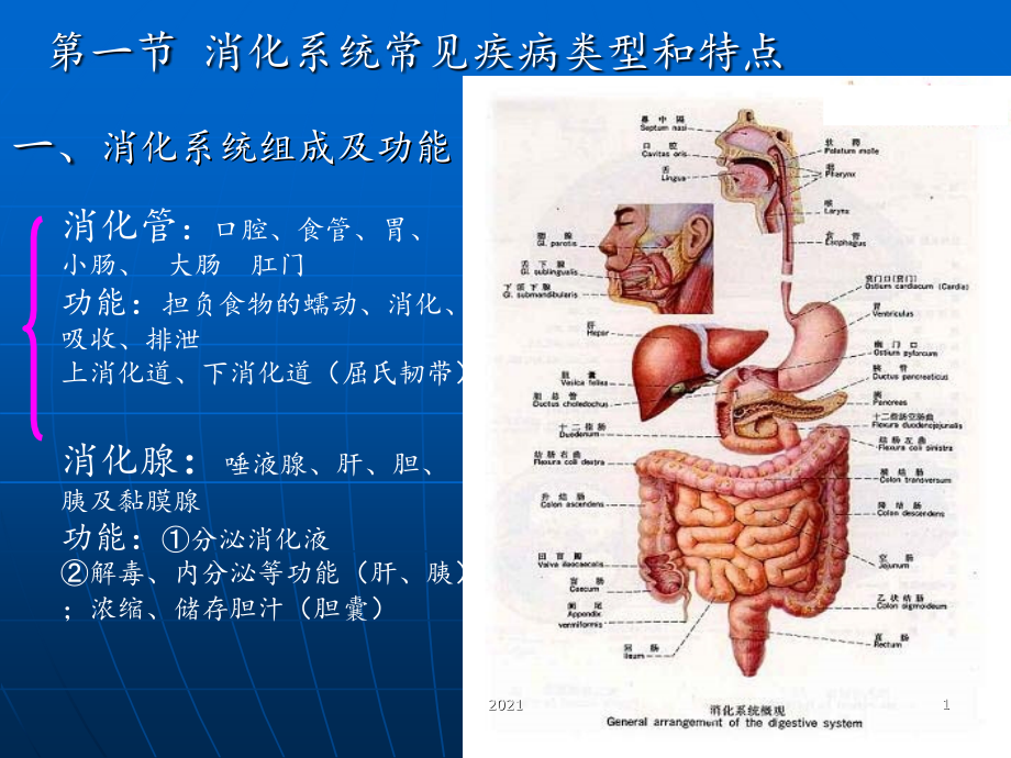 生命健康与医药常识78章.ppt_第1页