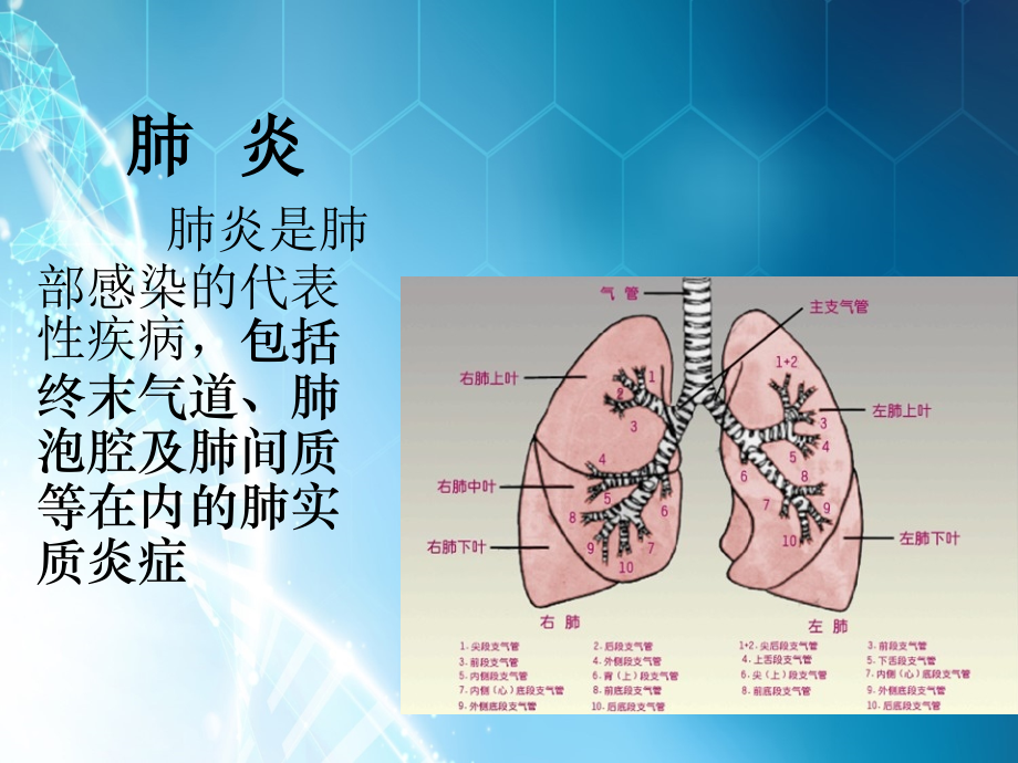 肺部感染ppt课件.ppt_第2页