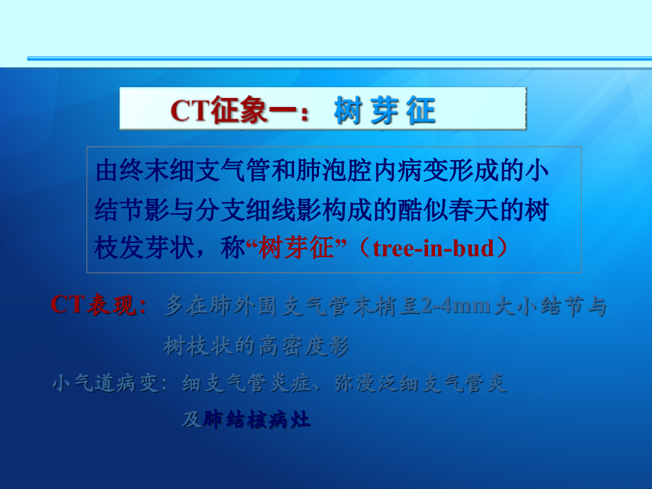 肺部征象诊断应用ppt课件.ppt_第3页