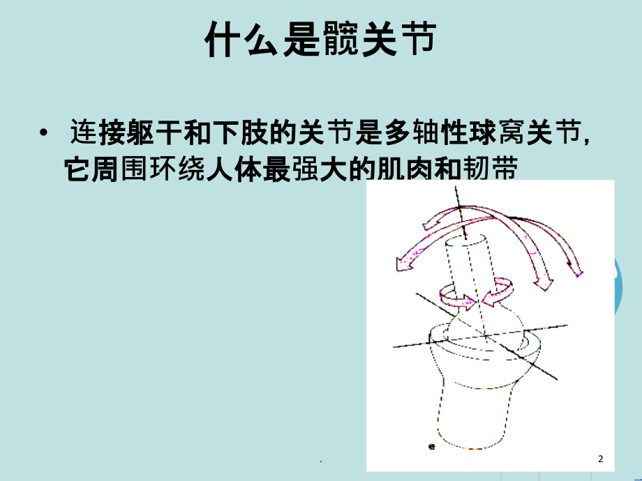 人工髋关节置换术的护理.ppt_第2页