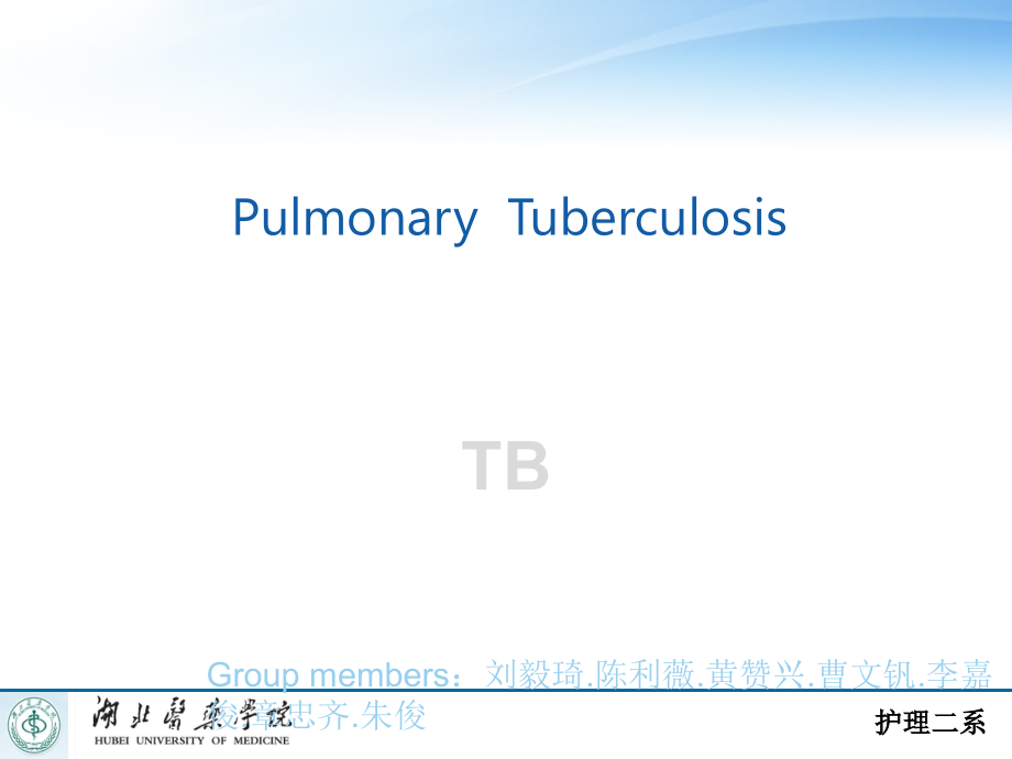 肺结核B-英文版ppt课件.pptx_第2页