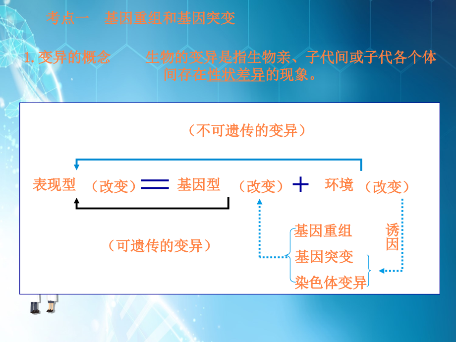 高中生物《基因突变及其他变异》专题ppt课件.ppt_第2页